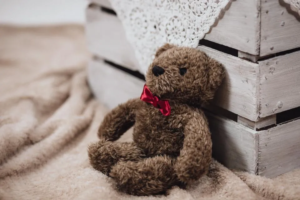 Brown Teddy with Red Bow
