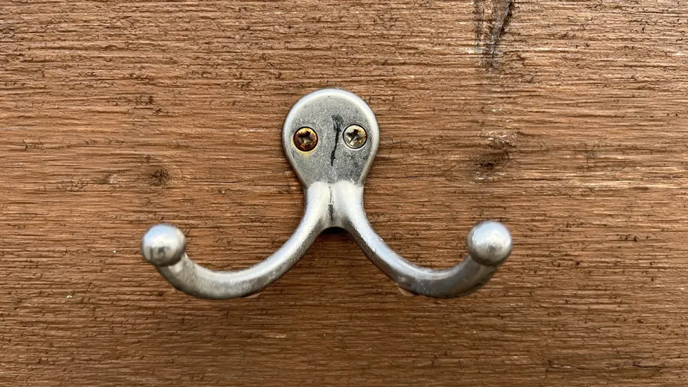Chrome Double Coat Hook