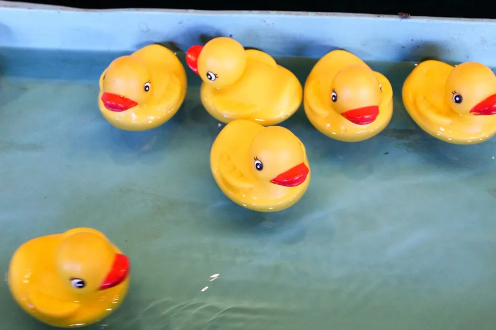 Classic Yellow Rubber Ducks, Set of 12