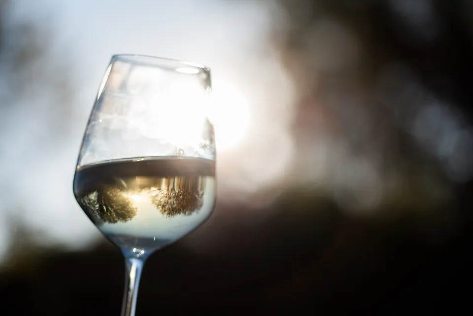 Clear Crystal Wine Glass Set of 4
