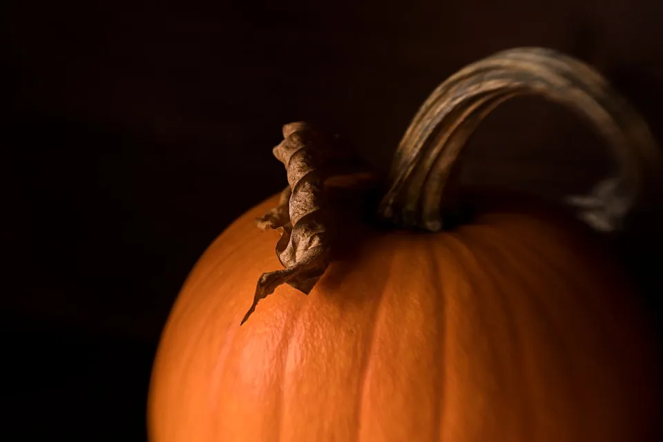 Dark Orange Pumpkin, Faux