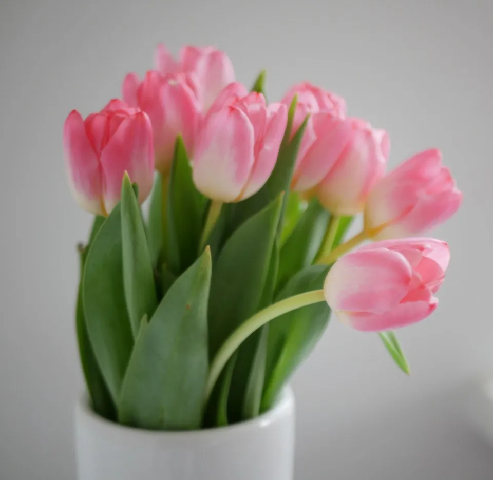 Faux Pink Tulips in White Vase