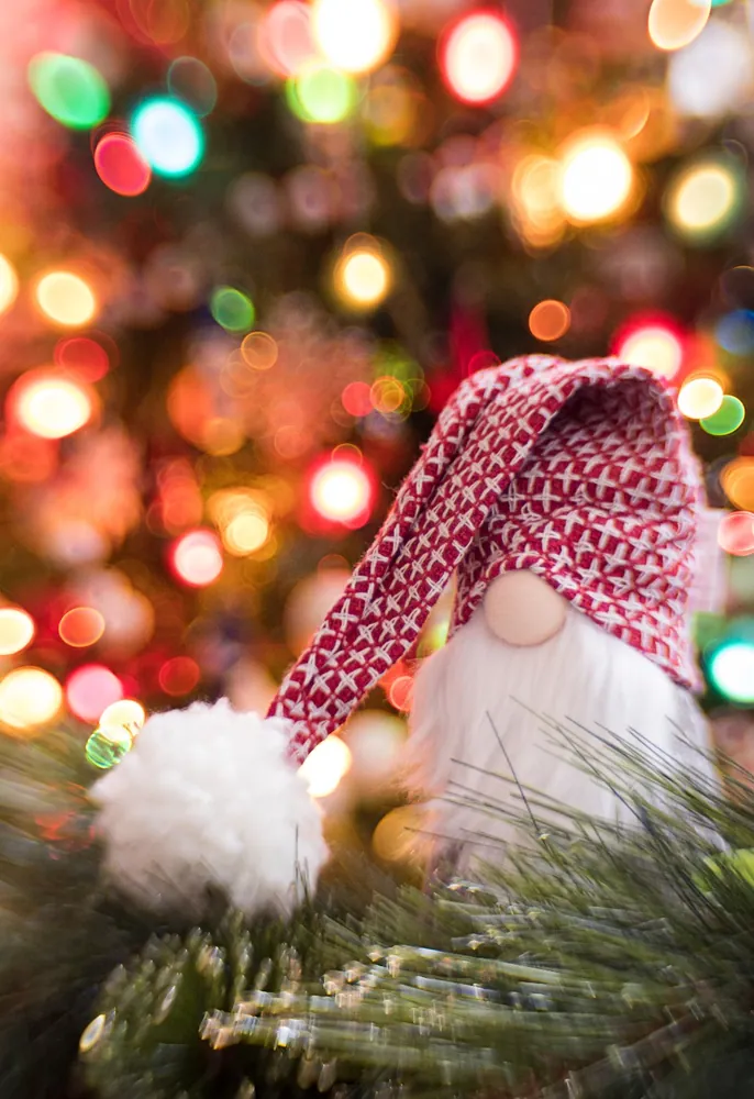 Holiday Gnome with Knit Hat