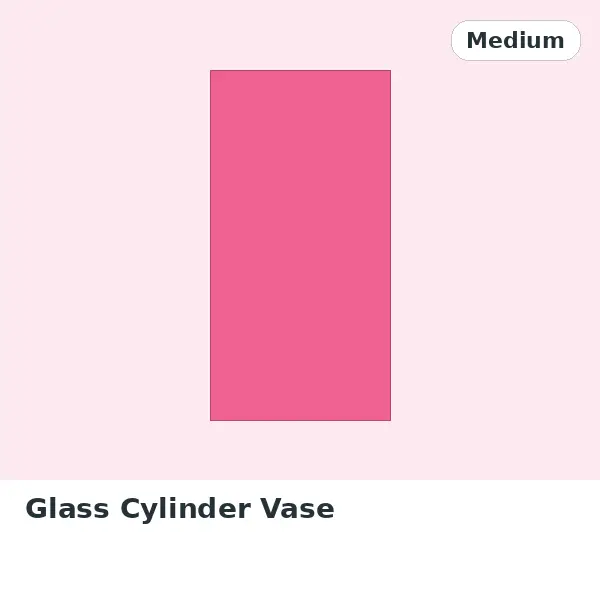 Glass Cylinder Vase - Medium