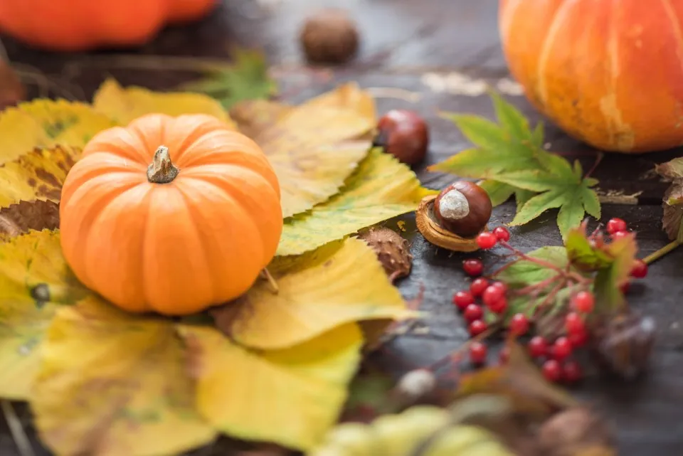 Mini Pumpkin & Leaf Garland