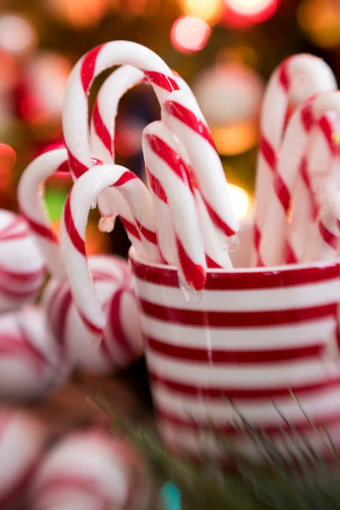 Red Stripe Holiday Mug