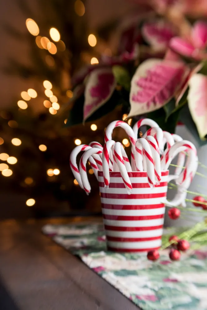 Red Stripe Holiday Mug