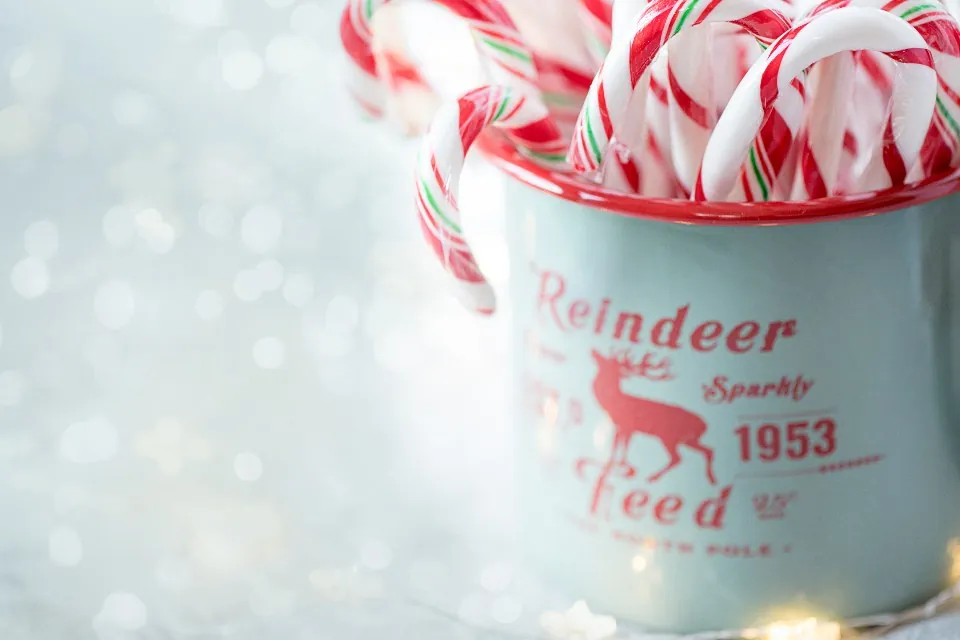 Reindeer Feed Enamel Mug