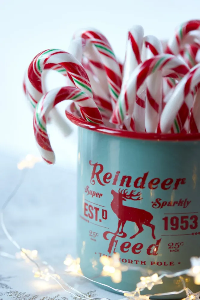 Reindeer Feed Enamel Mug