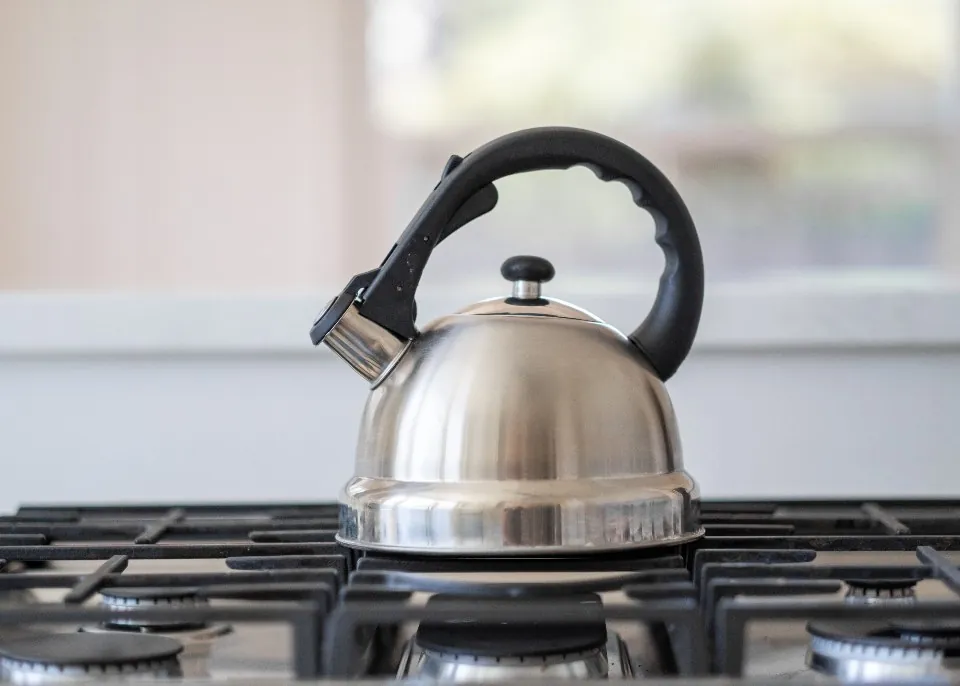 Stainless Whistling Kettle, 2.5 qt
