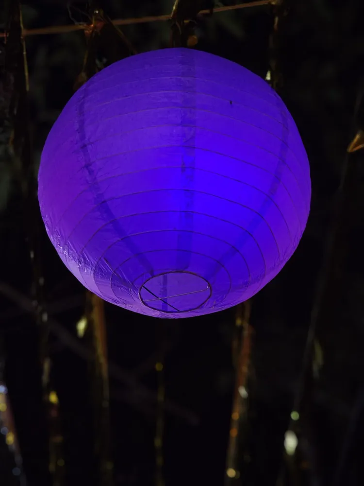 Violet Paper Lanterns, Set of 6