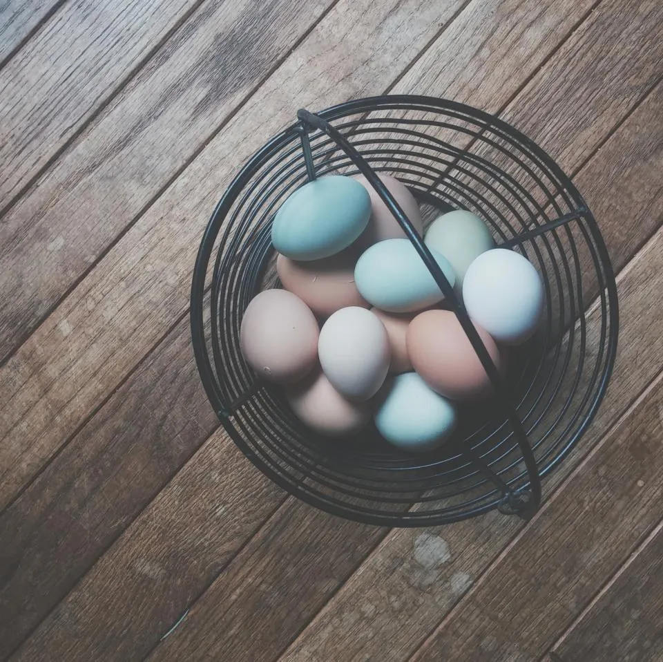 Wire Egg Basket with Pastel Eggs