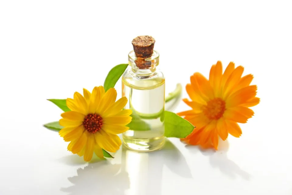 Calendula Body Oil, 4 oz