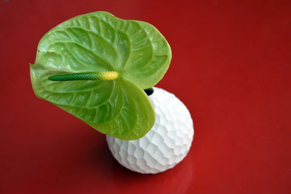 Dimpled Golf-Ball Bud Vase