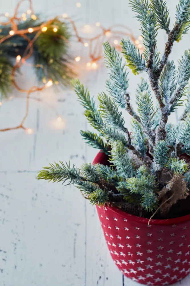 Frosted Mini Tabletop Tree in Pot