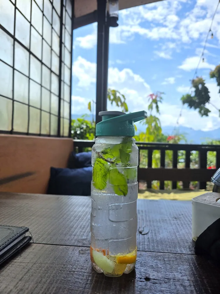 Fruit Infuser Water Bottle