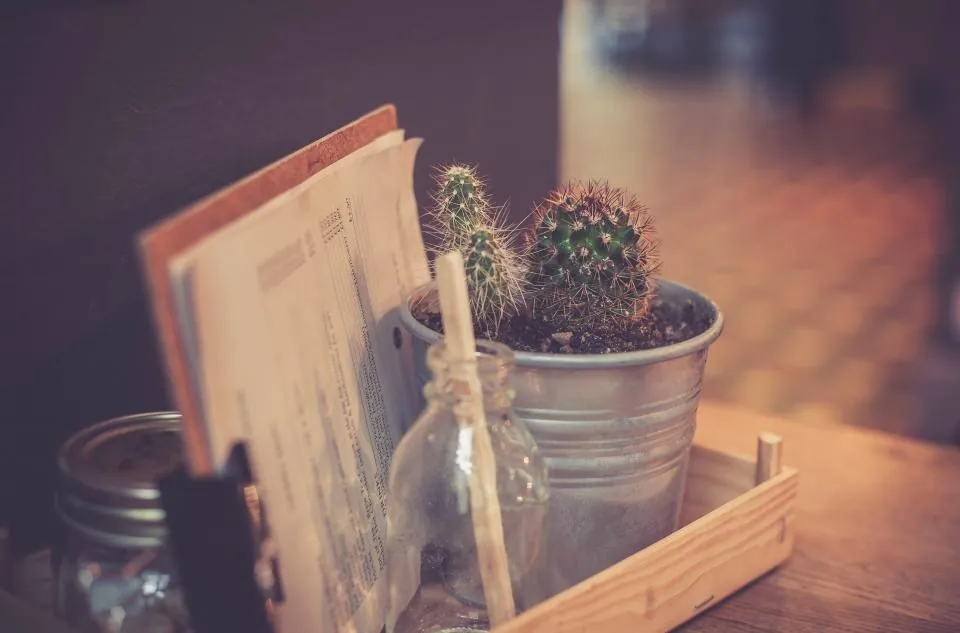 Galvanized Mini Pail Planters on Tray