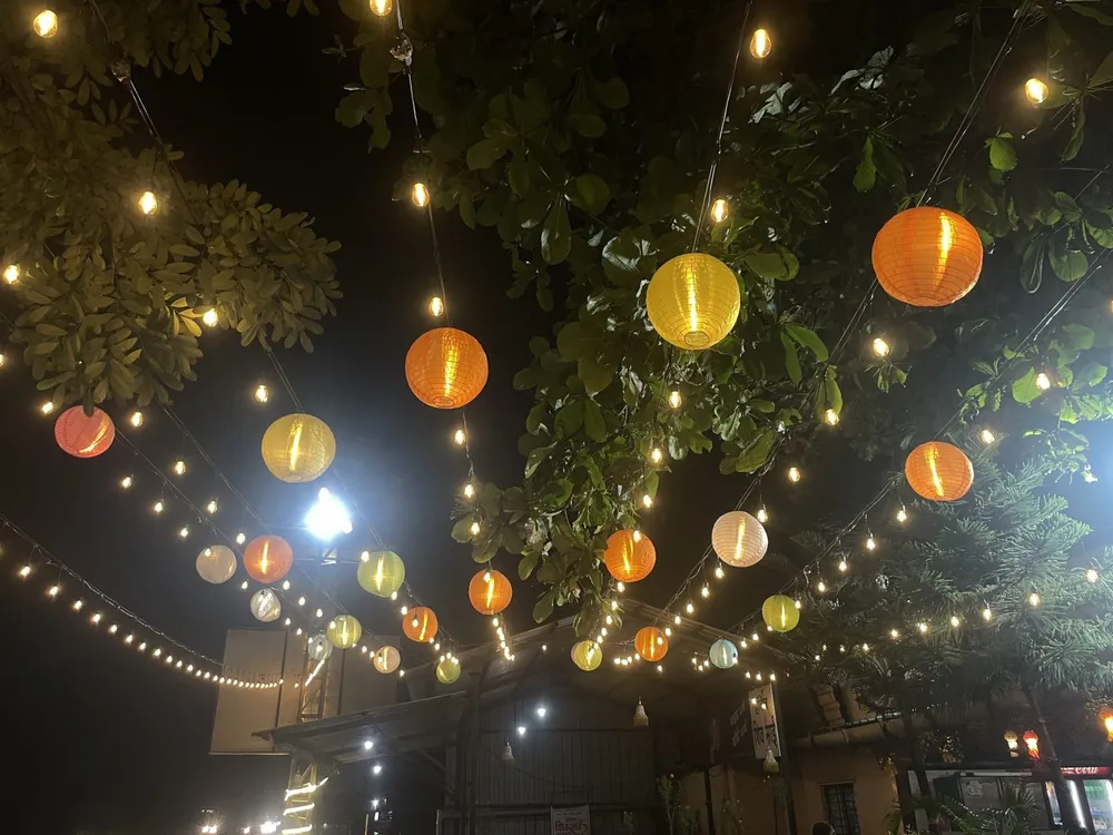 Garden Lantern String Lights