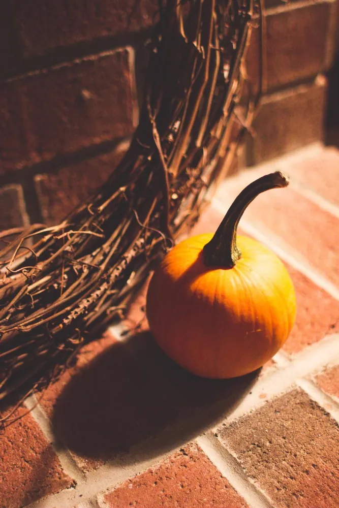 Grapevine Wreath with Mini Pumpkin