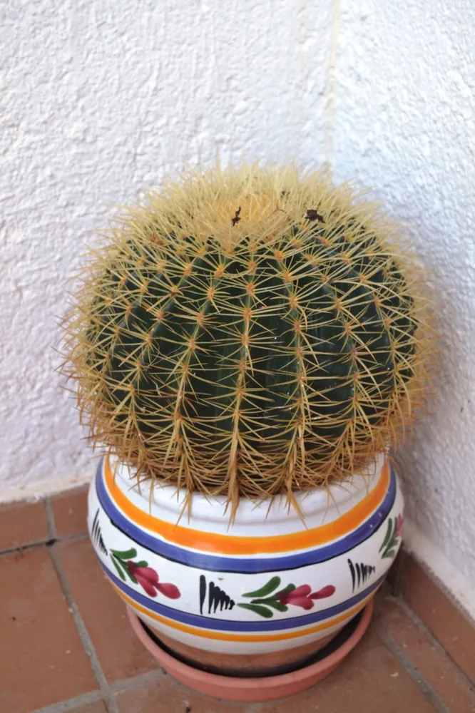 Hand-Painted Talavera-Style Planter