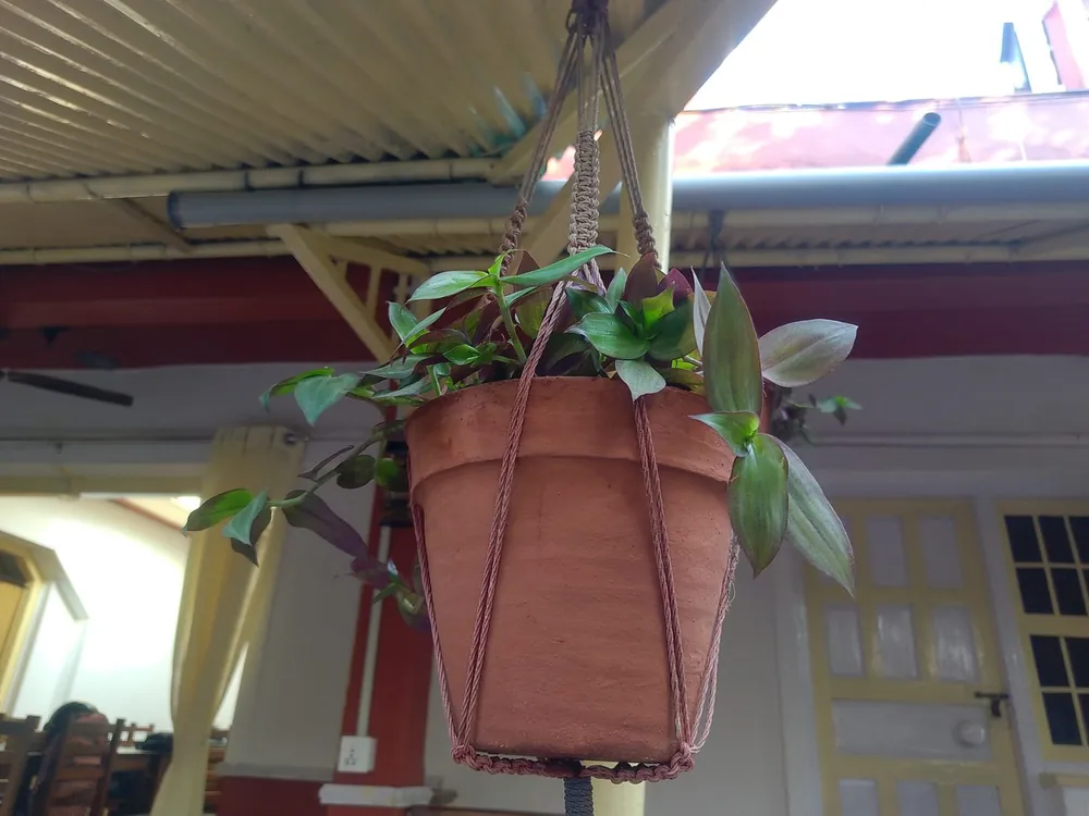 Hanging Terracotta Pot with Chain