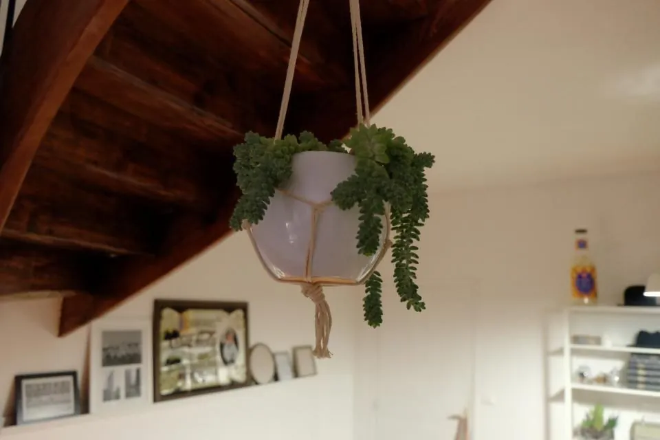 Macrame Plant Hanger
