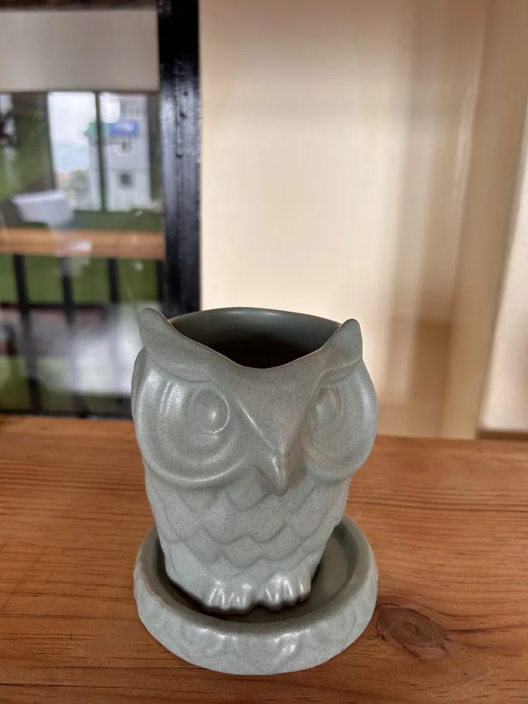Owl Ceramic Planter