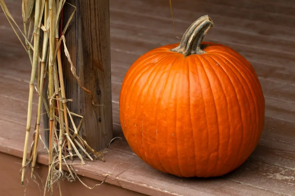 Pumpkin & Corn Stalk Porch Set