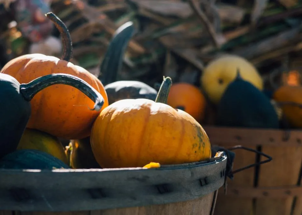Pumpkin Basket Centerpiece