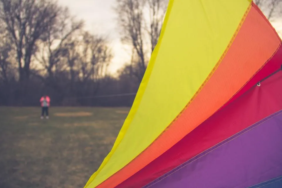 Rainbow Delta Kite