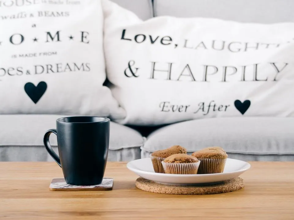Script Quote Throw Pillow Pair