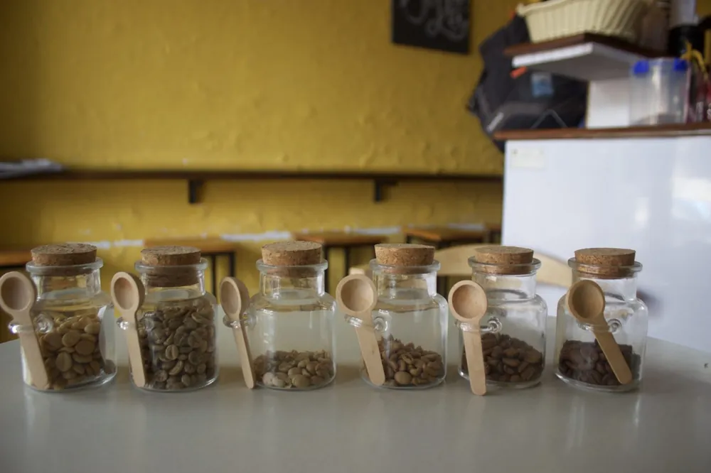 Spice Jar Set with Wooden Scoops