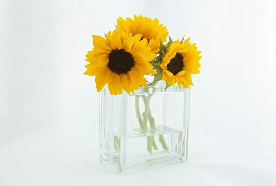 Square Glass Block Vase