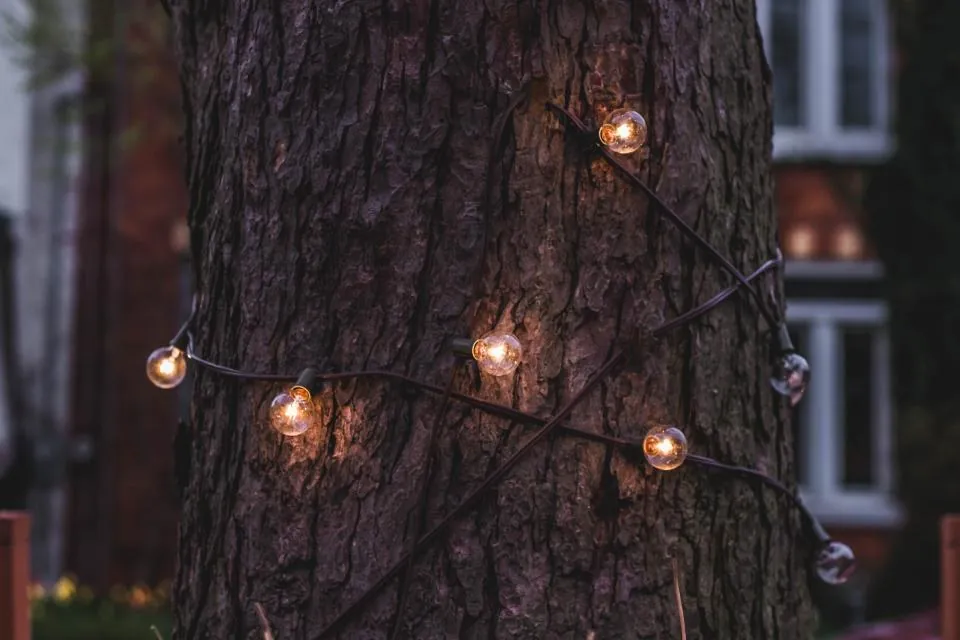 Vintage Bulb Light String, 25 ft