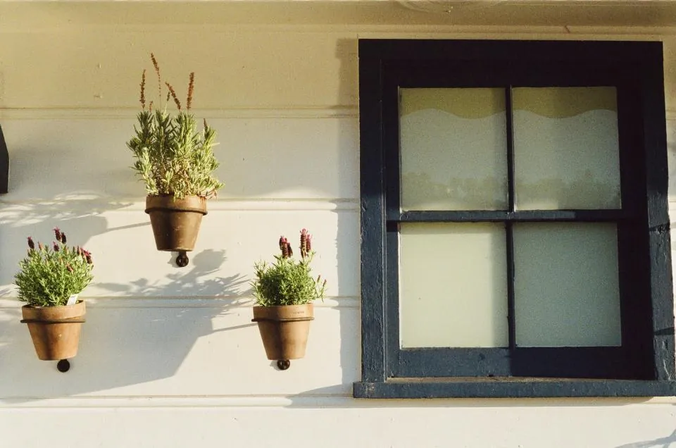 Wall-Mount Terracotta Herb Pots, Set of 3